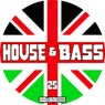 House & Bass, Vol. 25