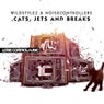 Cats, Jets and Breaks