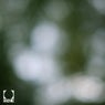 Blur