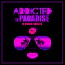 Addicted To Paradise, Vol. 2 (25 Groove Rockets)