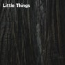 Little Things