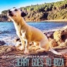 Jerry Goes to Ibiza