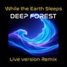 While the Earth Sleeps (Live Version Remix)