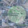 A Beginner's Guide to Astral Projection