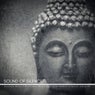 Sound Of Silence - Peaceful Music For Calming Down, Deep Sleep, Mental Stability And Bliss