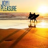 Joy Meets Pleasure