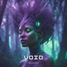 Void