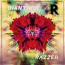 Dianthus