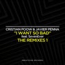 I Want So Bad (The Remixes)