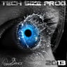 Tech Size Prog 2013