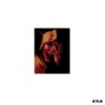 The Fool In Reverse / Red