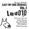 Lost My Dog Remixes Vol 1