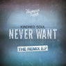 Never Want - Remixes
