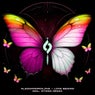 Love Begins