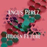 Hidden Future