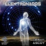 Elektronados