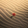 Hope For The Hopeless
