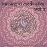 Turning in Meditation, Vol. 3 - A Fine Selection of Binaural Chill Out, Yoga Flow and Deep Electronic Ambient