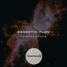 Magnetic Flow