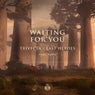 Waiting For You (feat. RUNN)