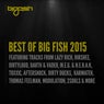 Best of Big Fish 2015