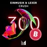 Crush (Extended Mix)