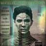 vol.2 Accelerated Corrosion