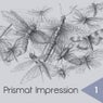 Prismat Impression 1