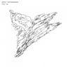 fly