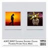 Polaroid Picture Vocal Mixes