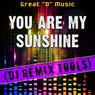 You Are My Sunshine (DJ Remix Tools)
