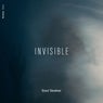 Invisible