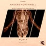 Aorta