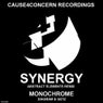 Synergy (Abstract Elements Remix)