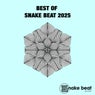 Best Of Snake Beat 2025