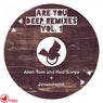 Are You Deep Remixes V1