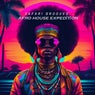 Safari Grooves: Afro House Expedition