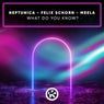 What Do You Know? (Extended Mix)