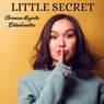 Little Secret