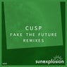 Fake the Future (Remixes)