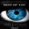 Best of You (David Tort Remixes)