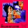 Nuclear Reflection