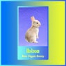 Raw Vegan Bunny
