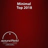 Minimal Top 2018