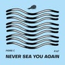 Never Sea You Again