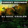 Forest Sounds, Vol. 1