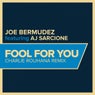 Fool For You: Remixes, Pt. 2