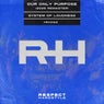 Our Only Purpose (Extended Mix)