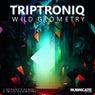Wild Geometry EP