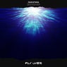 Deepdiver